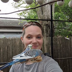 Meet your Posher, Laurie